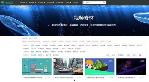 情感类爆料视频素材网站,热门视频网站背后的真实故事